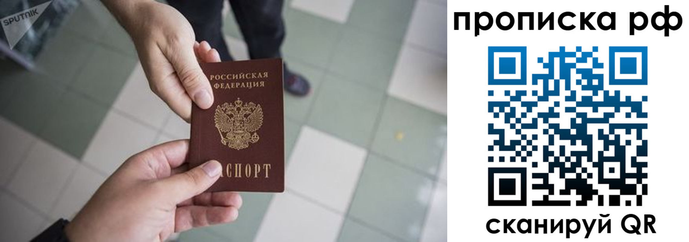 прописка гарантия в Далматово